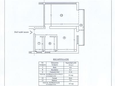 Apartament cu 1 Camera